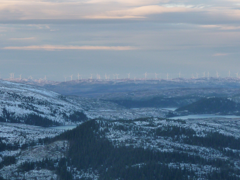 Utsikt fra Korpheia, mange titalls vindmøller