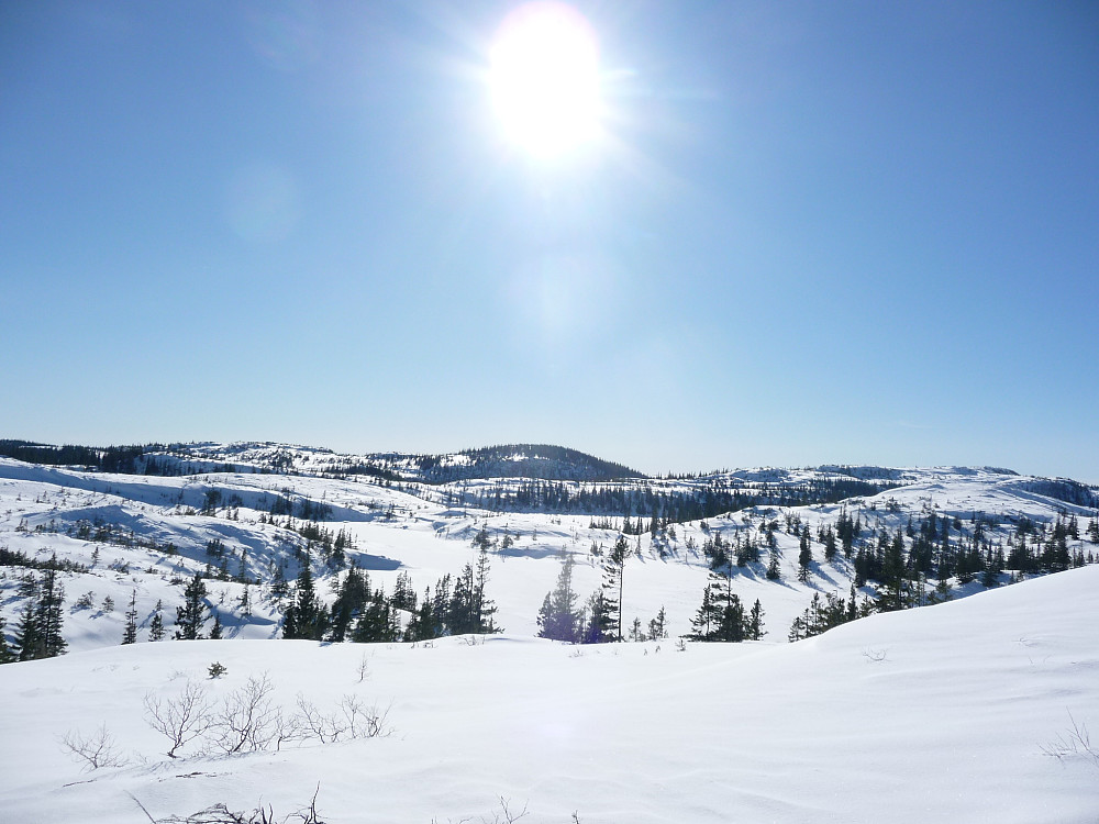 Tverrskauan