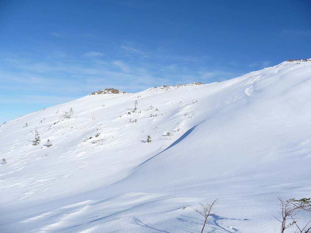Parti fra Fjellvassheia