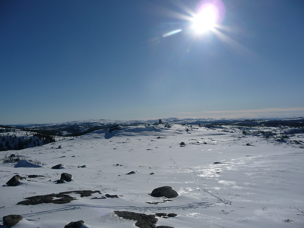 Toppen av Fjellvassheia