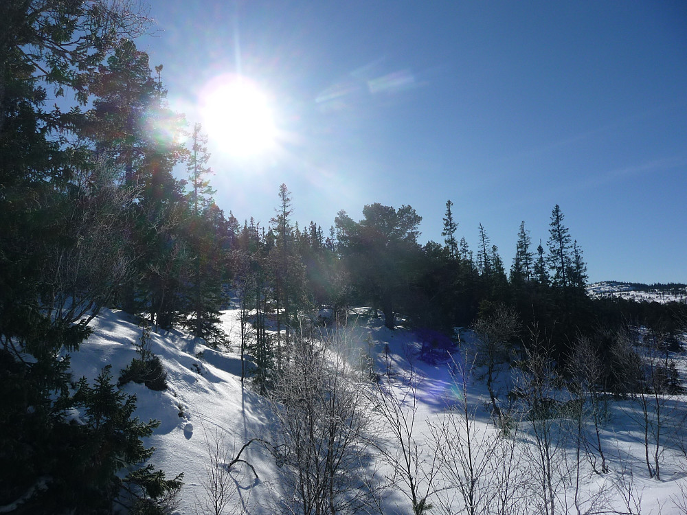 Vårvinter