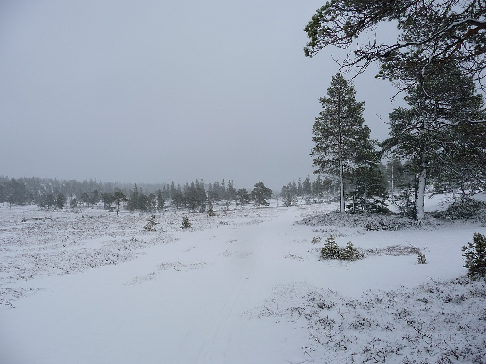 Rester av skiløypa til Elvvatnet