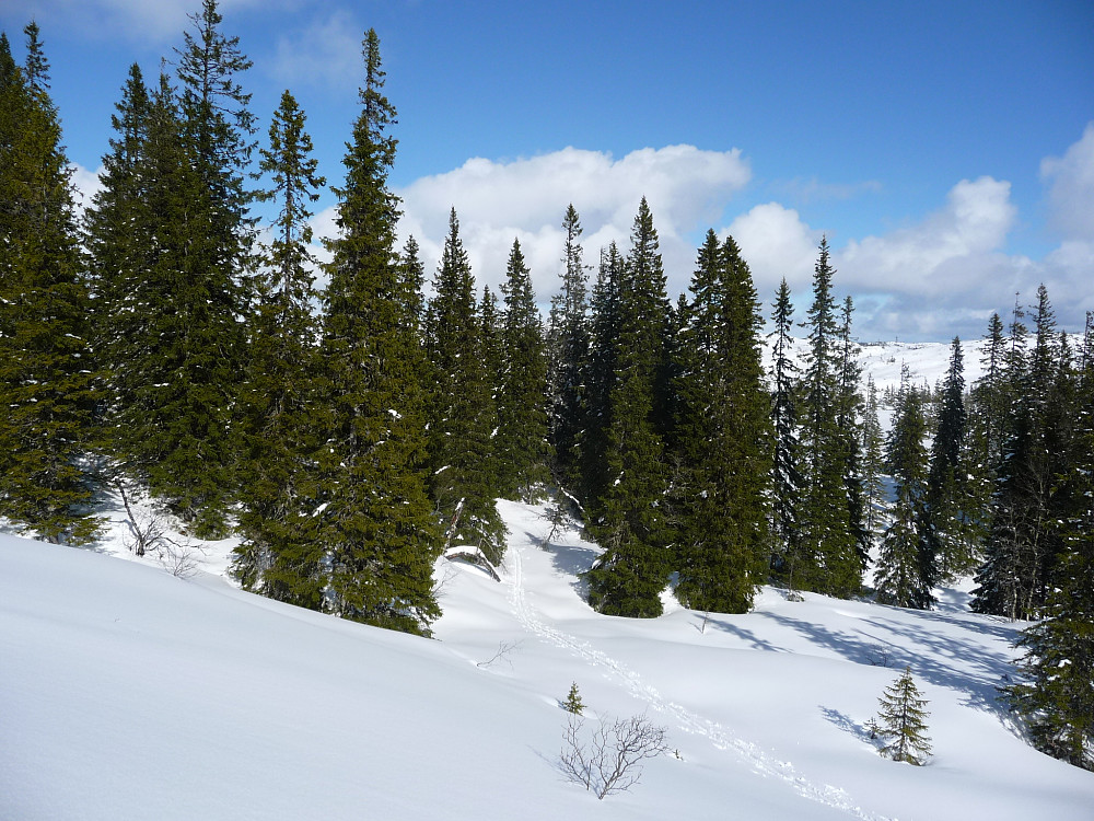 Foten av Båvasshaugen