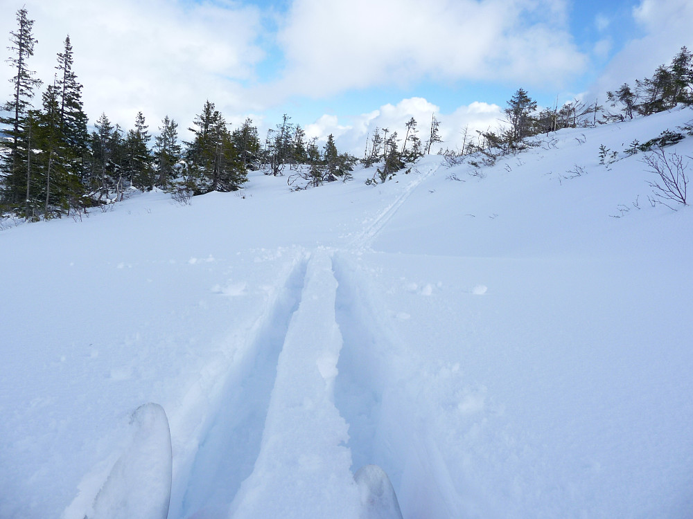Skispor