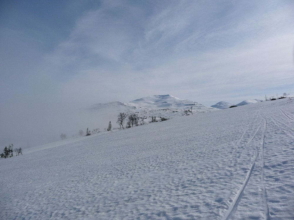 Fint skiterreng i Svenske Skjækerfjell