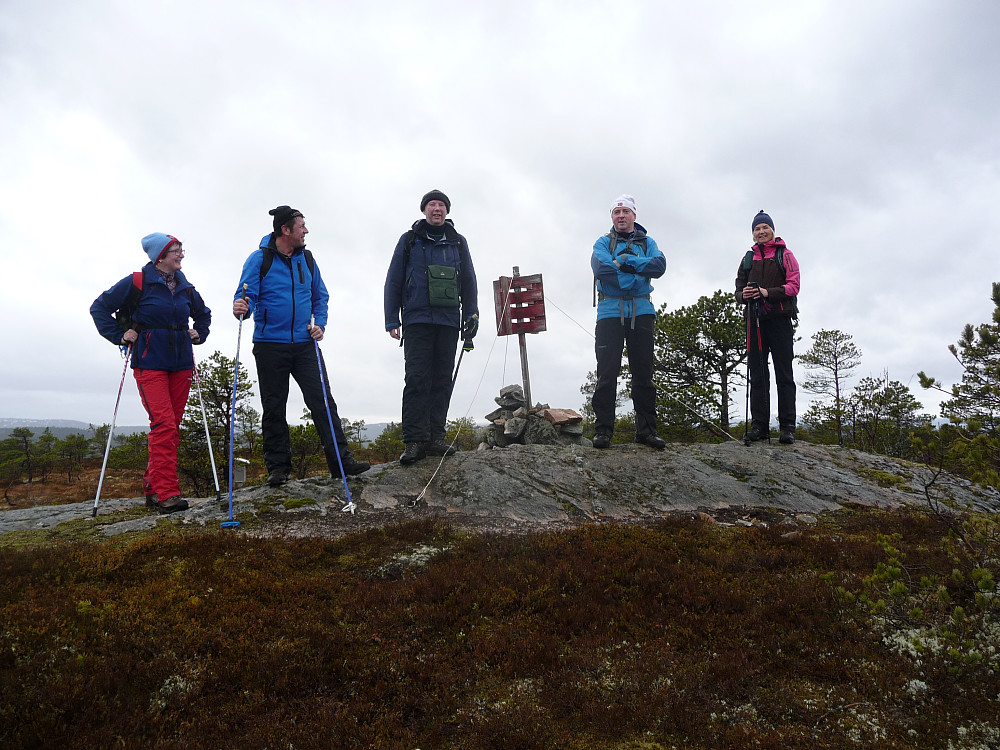 Toppen av Hifjellet