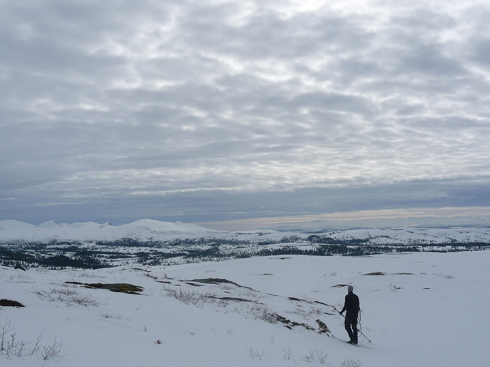 Svenske Skjækerfjell i horisonten