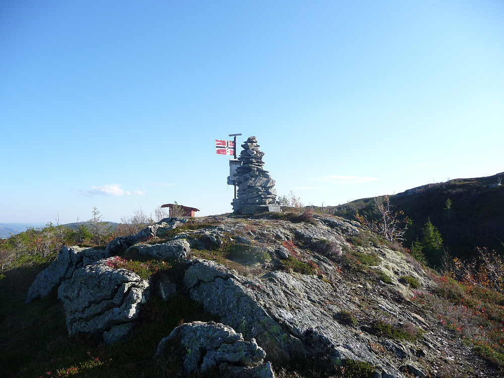 Storhåmmårn