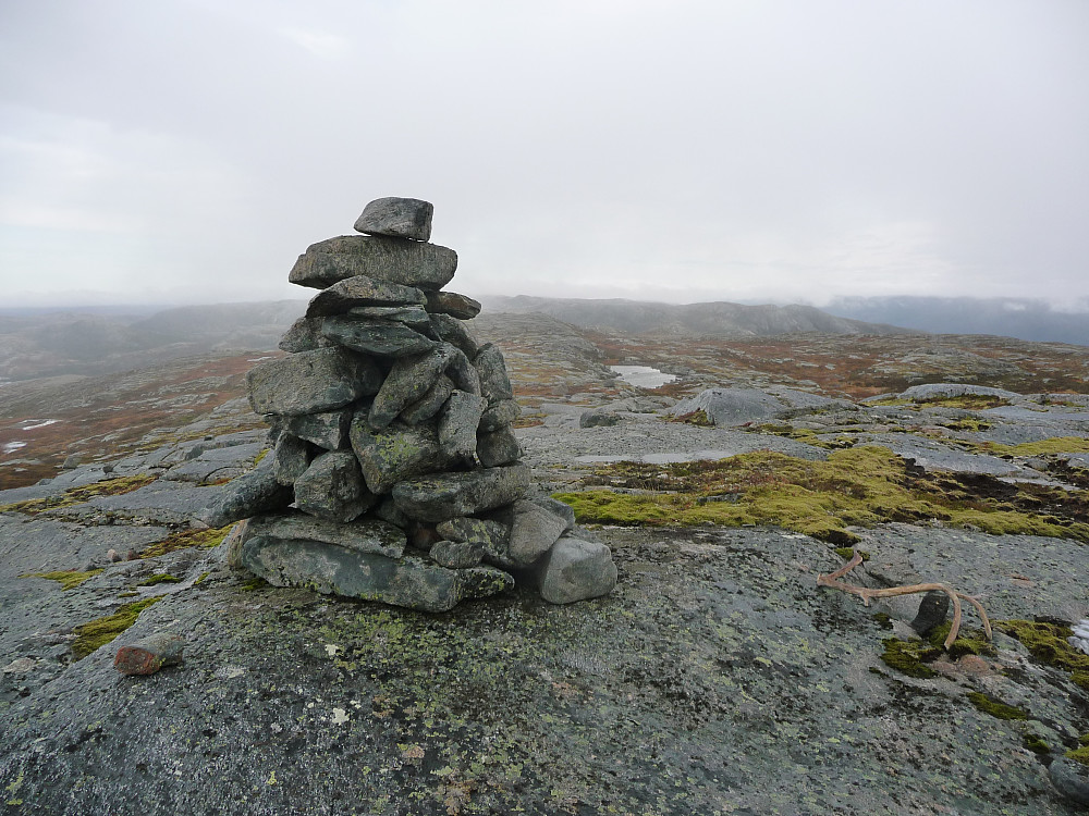 Toppen av Tullheia.