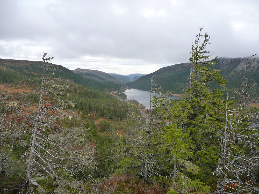 Nordover Haugsdalen