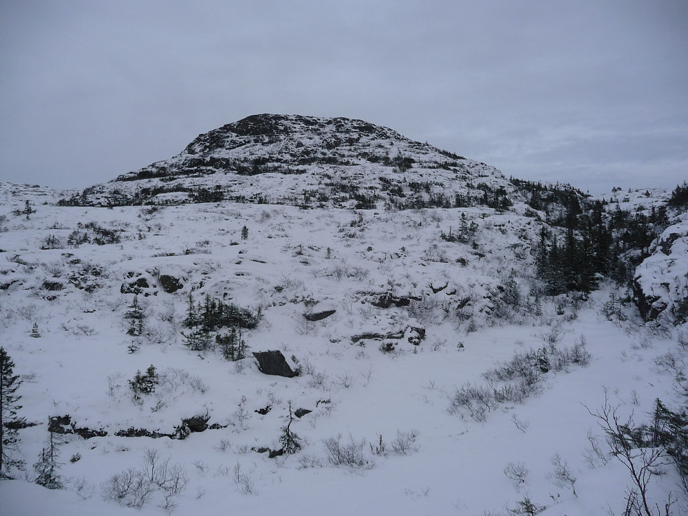 Grønnliklumpen