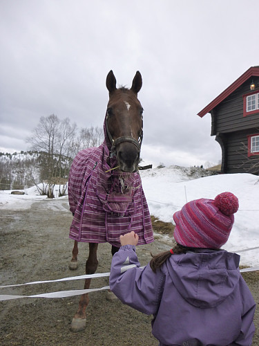 Så tilbake til Skaret for å hilse takk for nå til denne karen . Fin tur trass i dritføre og kald vind :)