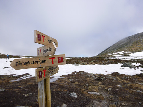 ved dette "veiskillet" var det ingen tvil lenger på om sola kom til å glede oss og vi skjønte at den siste oppstigninga til Mjølvafjellet kom til å bli varm :)