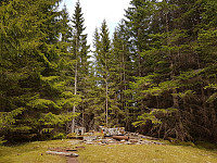 Karina_20170515_59194f6ca2be1.jpg