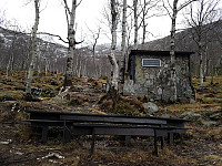 Karina_20200119_5e245cbce566f.jpg