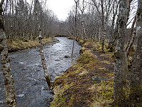 Karina_20200119_5e245cbd8821f.jpg