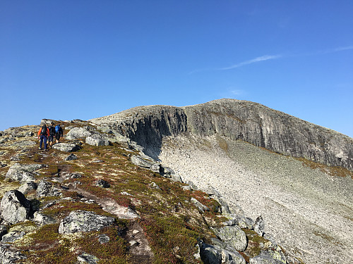 Smisetnebba i front