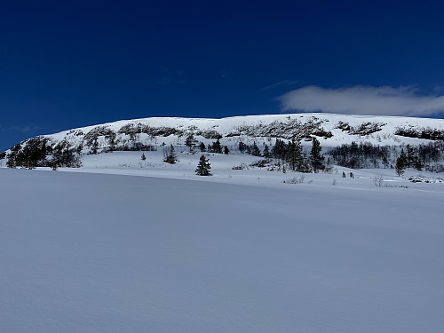 Syltnebba sett fra venstresiden. 