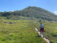 Somlaren_20200724_5f1b08cf10439.jpg