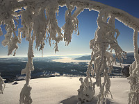 GreteR_20180121_5a64b9d68535b.jpg