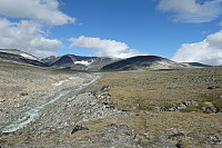 Trollsteinhøene og Gråhøe - dagens mål