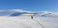GreteR_20200202_5e3700cb43987.jpg