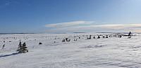 GreteR_20200223_5e52c76dea1df.jpg