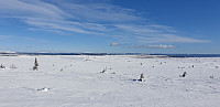 GreteR_20200223_5e52c76f5cd3e.jpg