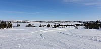 GreteR_20200229_5e5a7902ca86c.jpg