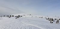 GreteR_20200229_5e5a790438612.jpg