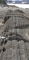 GreteR_20200322_5e77ab52d63ba.jpg