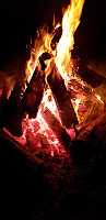 GreteR_20200408_5e8de965116cc.jpg