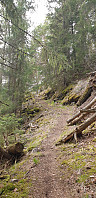 GreteR_20200430_5eab0e5a58fe4.jpg
