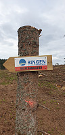 GreteR_20200430_5eab0e65edb9f.jpg