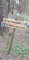 GreteR_20200430_5eab0e69f1798.jpg