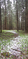 GreteR_20200501_5eac596cc004b.jpg