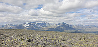 GreteR_20200621_5eef788193ded.jpg