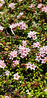 GreteR_20200621_5eef789992a1b.jpg