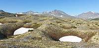 GreteR_20200627_5ef7ae8272e01.jpg