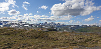 GreteR_20200706_5f03764fe7d36.jpg