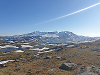 GreteR_20200816_5f398d10ab7a3.jpg