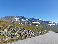 GreteR_20200816_5f399193a8400.jpg