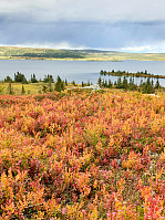 GreteR_20200906_5f5501775a280.jpg