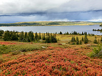 GreteR_20200906_5f5501792e22f.jpg