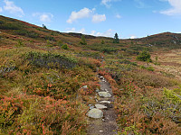 GreteR_20200912_5f5d1158a3381.jpg