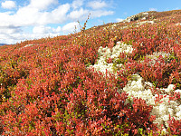 GreteR_20200912_5f5d11644a1b1.jpg