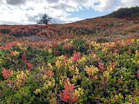 GreteR_20200912_5f5d1175def87.jpg