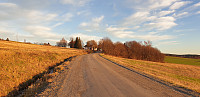 GreteR_20201106_5fa5922860dbe.jpg