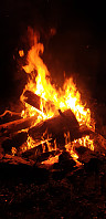 GreteR_20201108_5fa8230ec6c30.jpg