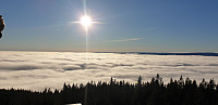 GreteR_20201108_5fa823cb79fcf.jpg
